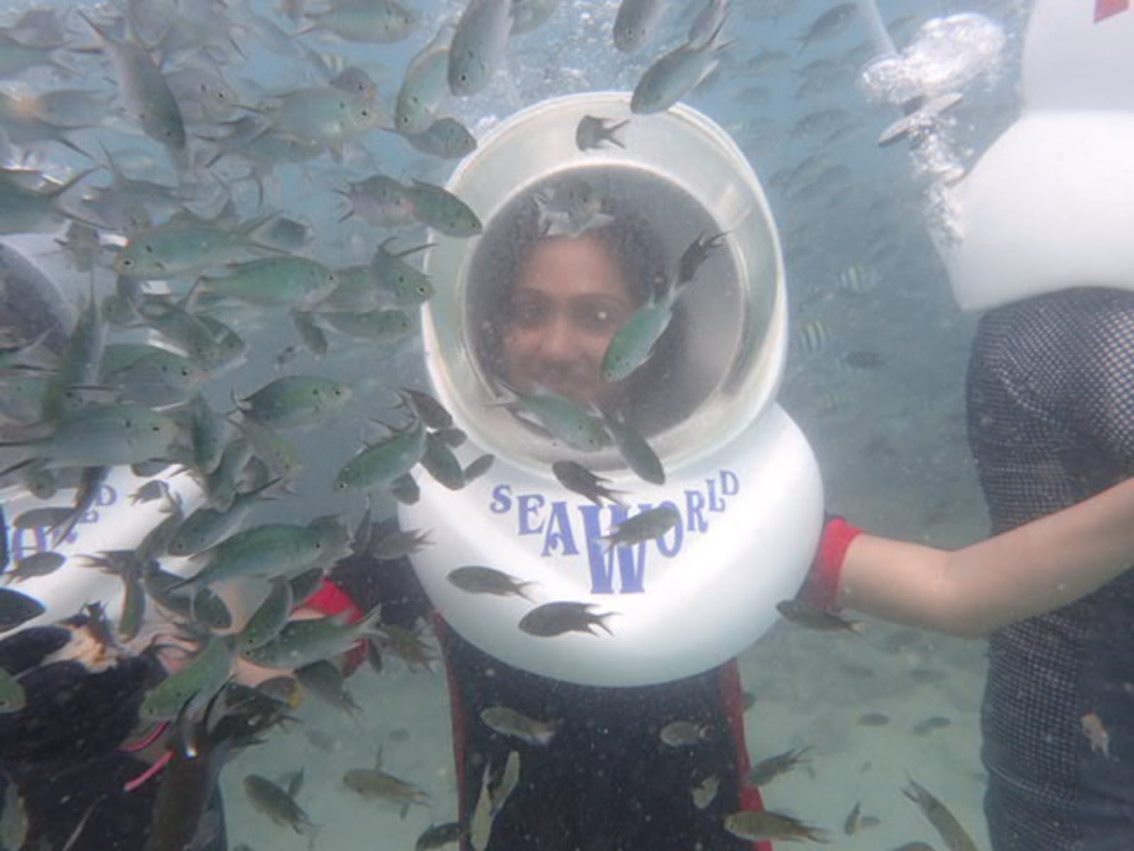 Scuba Diving